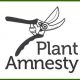 plant-amnesty